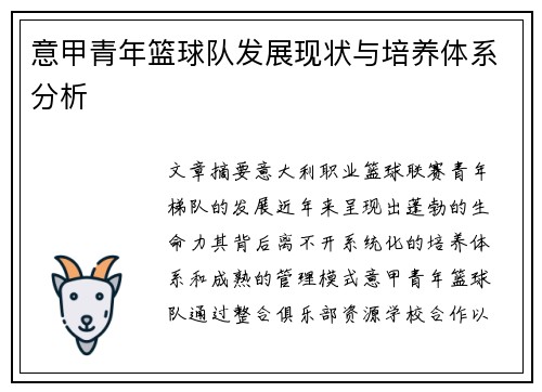 意甲青年篮球队发展现状与培养体系分析